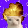 thewhiteninja